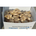 2015 Fresh Ginger with Exporting Quality